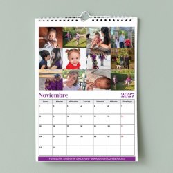 Calendario solidario Dravet 2027 de pared – noviembre