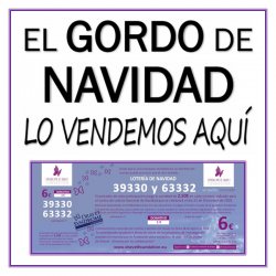 Lotería de Navidad 2026 solidaria – Fundación Síndrome de Dravet, números 39330 y 63332