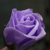 Rosa morada de pétalos de jabón (vista 3)