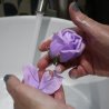 Rosa morada de pétalos de jabón (vista 5)